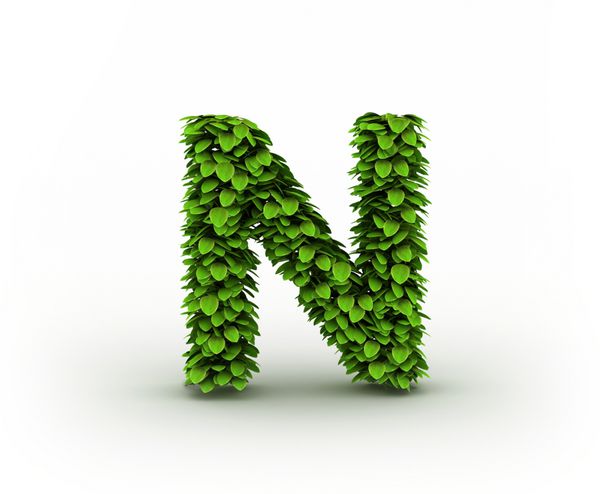 حرف N الفبای برگ های سبز جدا شده در پس زمینه سفید