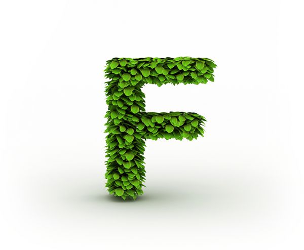 حرف F الفبای برگ های سبز جدا شده در پس زمینه سفید