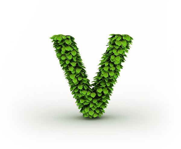 حرف V الفبای برگ های سبز جدا شده در پس زمینه سفید