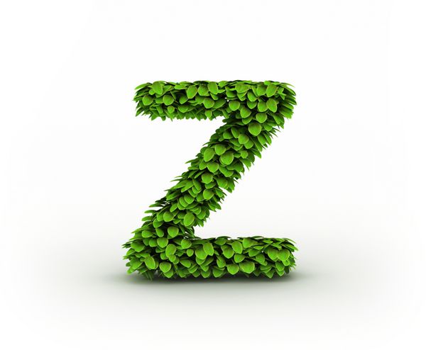 حرف Z الفبای برگ های سبز جدا شده در پس زمینه سفید