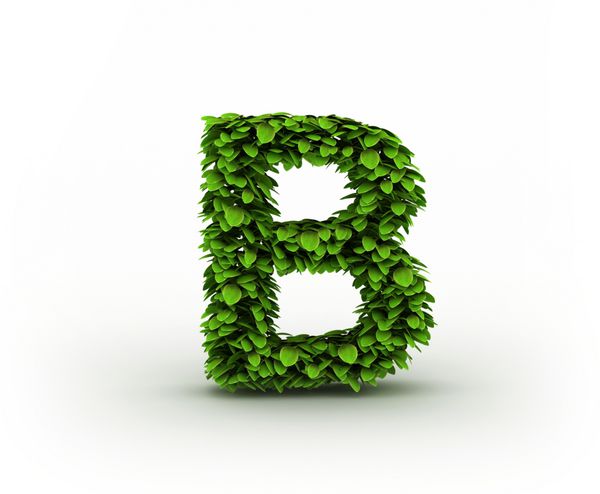 حرف B الفبای برگ های سبز جدا شده در زمینه سفید