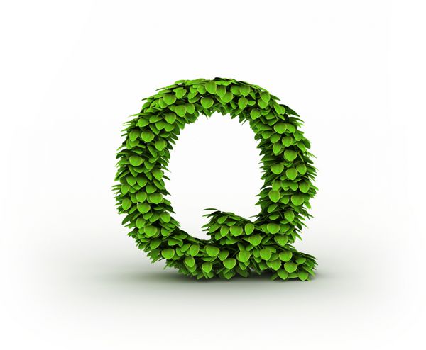 حرف Q الفبای برگ های سبز جدا شده در پس زمینه سفید