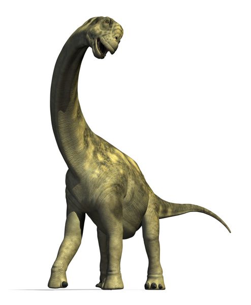 دایناسور کاماراسوروس در اواخر دوره ژوراسیک در آمریکای شمالی زندگی می کرد - رندر سه بعدی