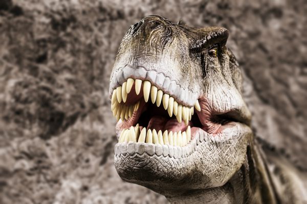 Tyrannosaurus - دایناسور دوران ماقبل تاریخ که دهان دندان دار خود را نشان می دهد