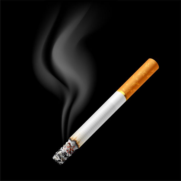 سیگار در حال سوختن بردار