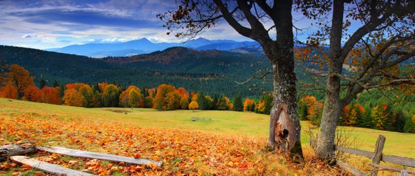منظره پاییزی کوهستانی با جنگل های رنگارنگ