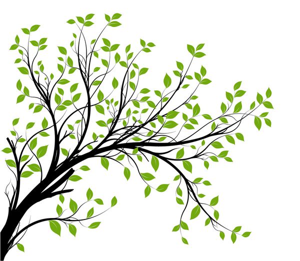 وکتور - شبح شاخه های تزئینی و برگ های سبز پس زمینه سفید