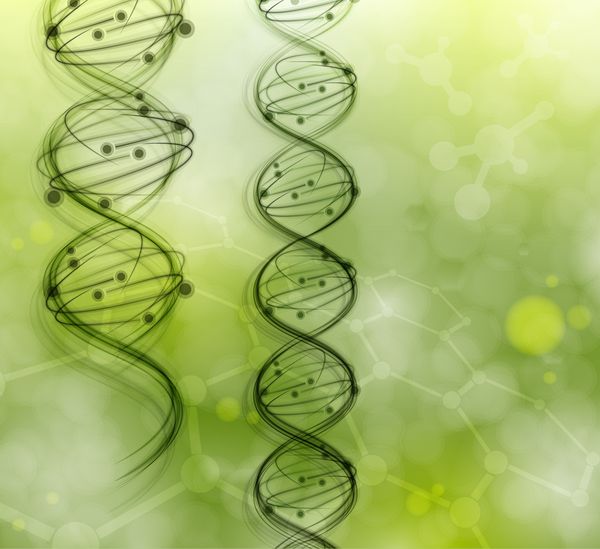 مولکول های DNA در زمینه طبیعی