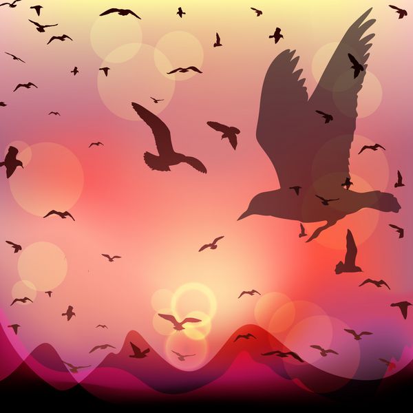 وکتور منظره غروب خورشید با پرندگان در حال پرواز