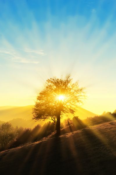 عکس مرد تنها در پاییز