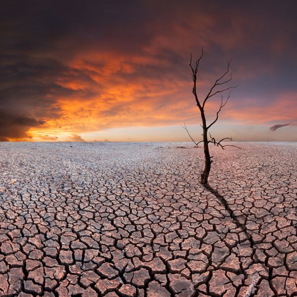 درخت خشک روی زمین خشک کلوخ های باشکوه در آسمان فاجعه زیست محیطی