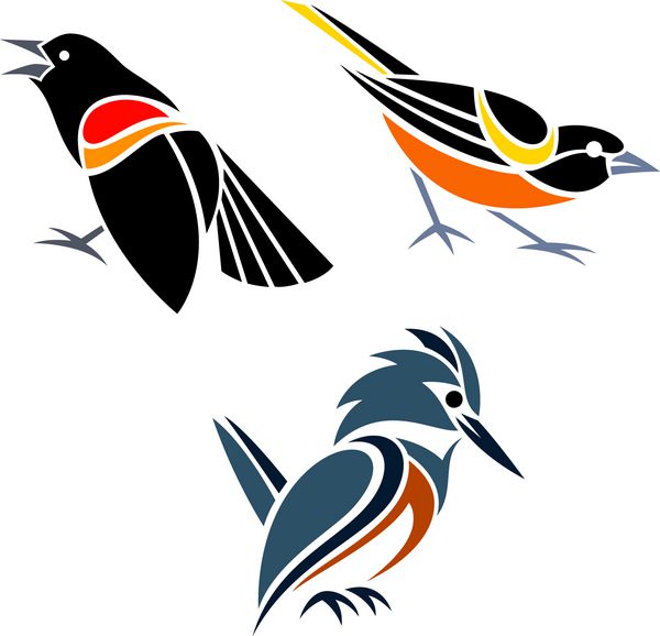 پرندگان سبک --- پرنده سیاه بال قرمز بالتیمور اوریول و شاه ماهی کمربند