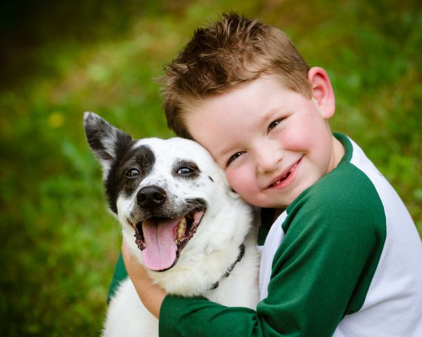 کودک با عشق سگ خانگی خود را که یک پاشنه بلند آبی است در آغوش می گیرد