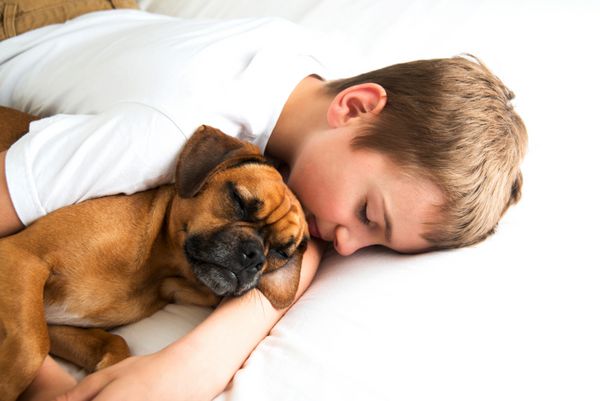 پسر جوان در حالی که سگش را در آغوش گرفته بود به خواب رفت