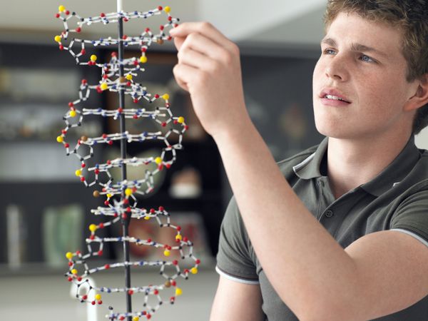پسر نوجوان در حال بررسی مدل DNA در کلاس علوم