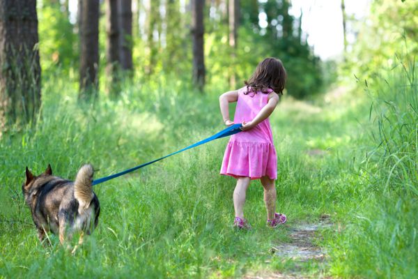 دختر کوچک با سگی که در جاده در جنگل می دود