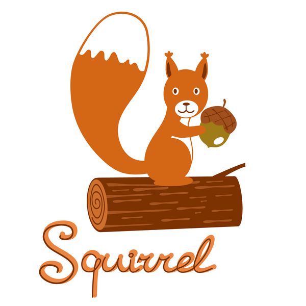 تصویری از سنجاب کوچک که بلوط را در دست گرفته است