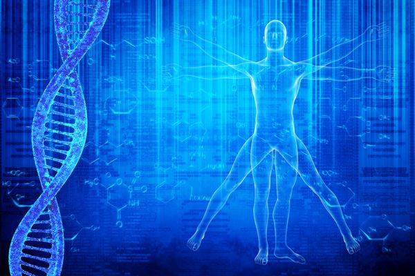 مولکول‌های DNA و انسان واقعی