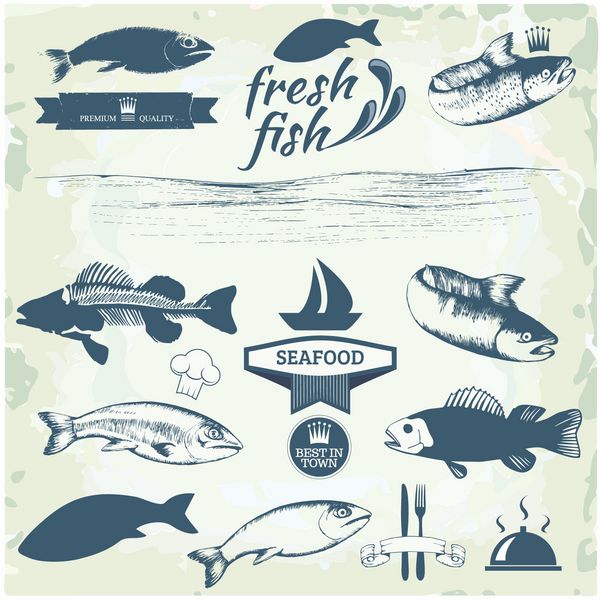 برچسب های غذاهای دریایی طراحی بسته بندی ماهی عناصر آرم ماهیگیری
