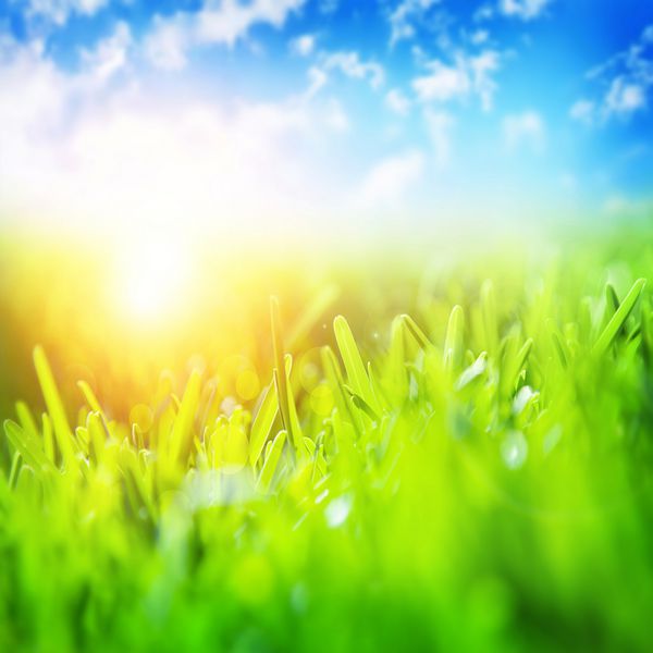منظره زیبای بهاری چمن سبز تازه آسمان آبی نور خورشید زرد روشن آب و هوای گرم و زیبا مفهوم فصل بهار