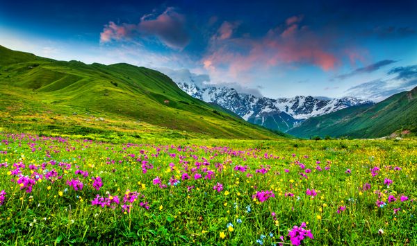 منظره ای زیبا از مراتع آلپ در کوه های قفقاز سوانتی بالا گرجستان