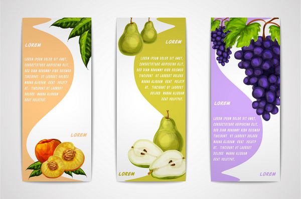 مجموعه ای از بنرهای عمودی میوه های شیرین طبیعی مخلوط طبیعی از هلو و انگور برای طراحی منوی دسر کافه وکتور الگو