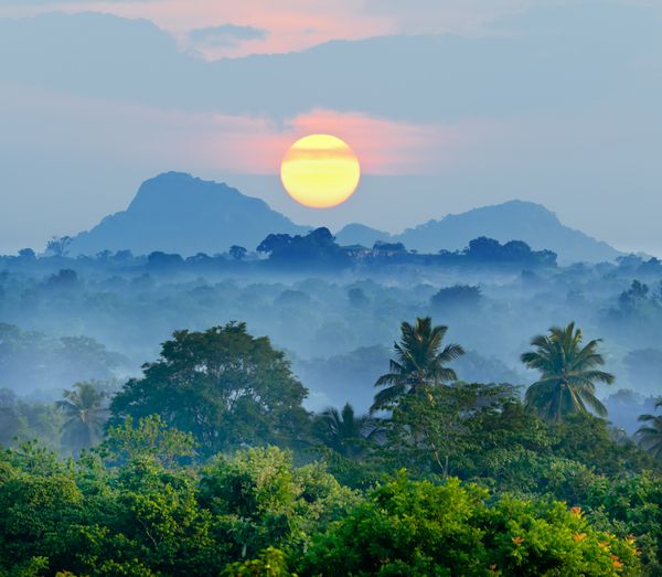 طلوع خورشید در جنگل های سریلانکا