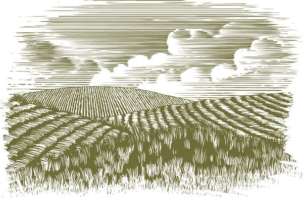 تصویرسازی به سبک چوب‌تراشی از تپه‌های غلتان در مزارع