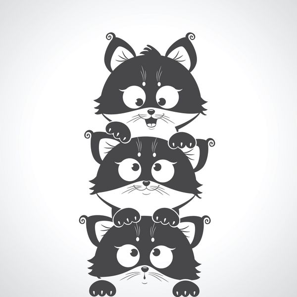 تصویر سیاه و سفید شبح بچه گربه های ناز