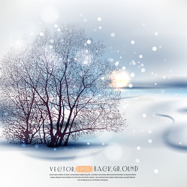 منظره زمستانی با شبح درخت تصویر حاوی شفافیت و جلوه است
