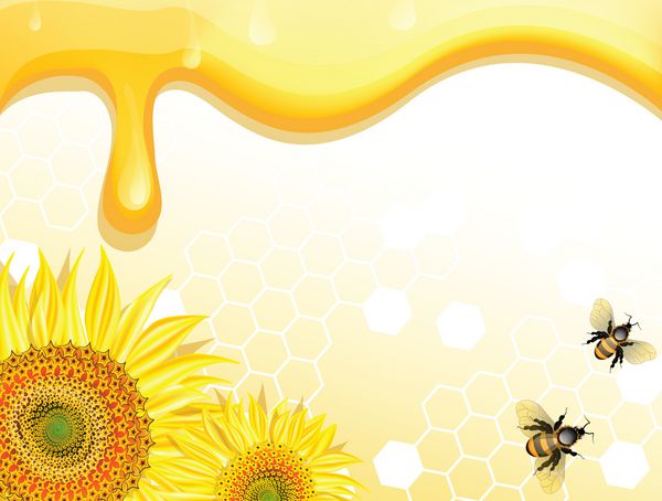 آفتابگردان و زنبور عسل در پس زمینه عسل