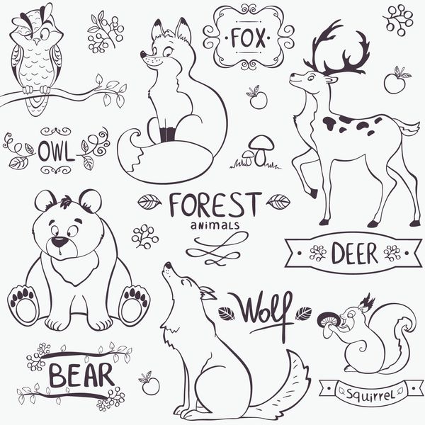 مجموعه تصویری از حیوانات زیبای جنگل با نام های طرح