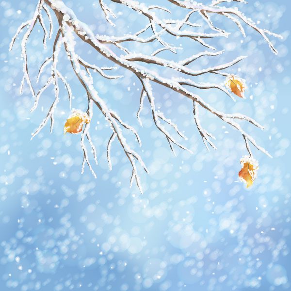 پس‌زمینه زمستانی با شاخه‌های درخت یخ‌زده پوشیده از برف برگ‌های پاییز گذشته بارش برف در پس‌زمینه آبی بوکه طرح وکتور هوای برفی کارت تبریک منظره زمستانی کریسمس