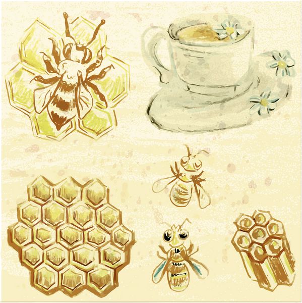 تصویر مجموعه وکتور استوک زنبور عسل فنجان چای گیاهی و لانه زنبوری