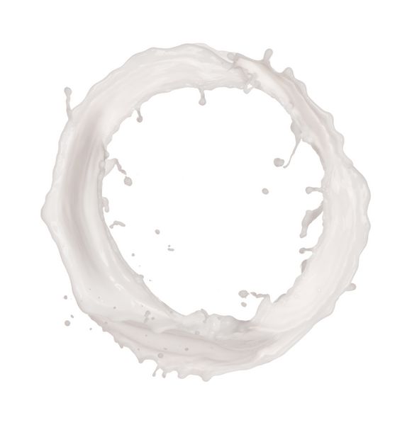 شیر دایره ای جدا شده روی پس زمینه سفید