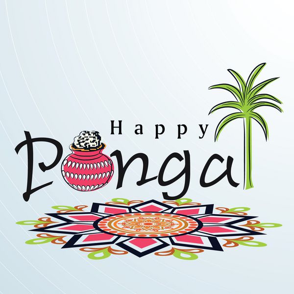 جشن پونگال مبارک جشن برداشت محصول در جنوب هند با برنج پونگال در گلدان سنتی گلی نیشکر و طرح گل زیبا به نام رنگولی