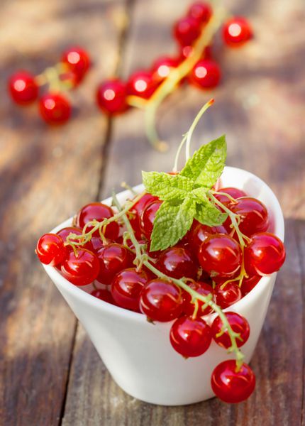 کاسه یا کاسه سرامیکی از انگور فرنگی قرمز تازه با برگ نعناع برای یک میان وعده طبیعی سالم پر از آنتی اکسیدان ها و ویتامین ها