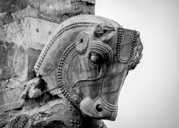 مجسمه اسب تخت جمشید پایتخت تشریفاتی امپراتوری هخامنشی میراث جهانی یونسکو