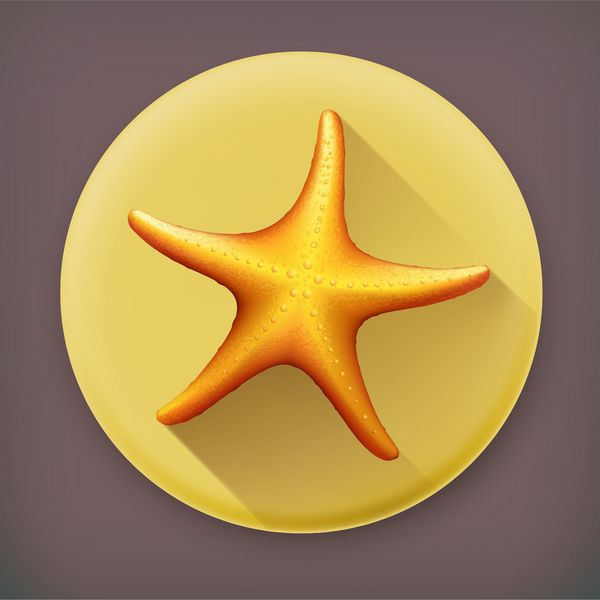 نماد وکتور سایه بلند ستاره دریایی