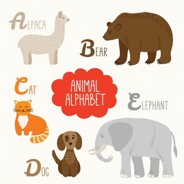 الفبا برای بچه ها با حیوانات حروف A B C D E آلپاکا خرس گربه سگ فیل