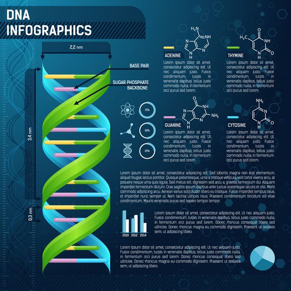 وکتور DNA برای اینفوگرافیک های علمی قالب اینفوگرافیک علمی با متن