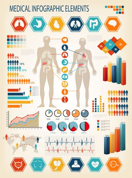 عناصر اینفوگرافیک پزشکی بدن انسان با اندام های داخلی بردار