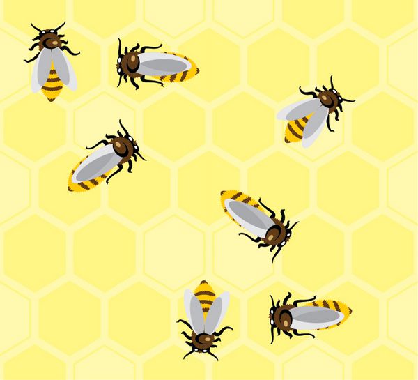 الگوی وکتور لانه زنبوری و زنبور عسل