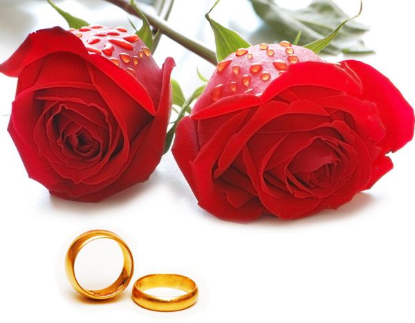 مفهوم عروسی با گل رز و حلقه - بسیاری از عکس های مشابه در نمونه کارها من