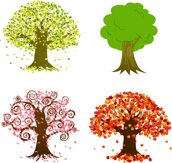 نوع درخت شامل درخت سبز درخت ساکورا درخت کارتونی و درخت افرا است