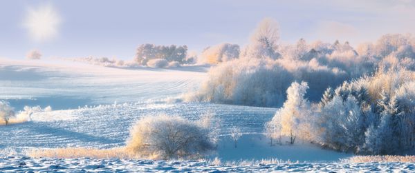 عکس پانوراما از منظره زمستانی در طلوع خورشید