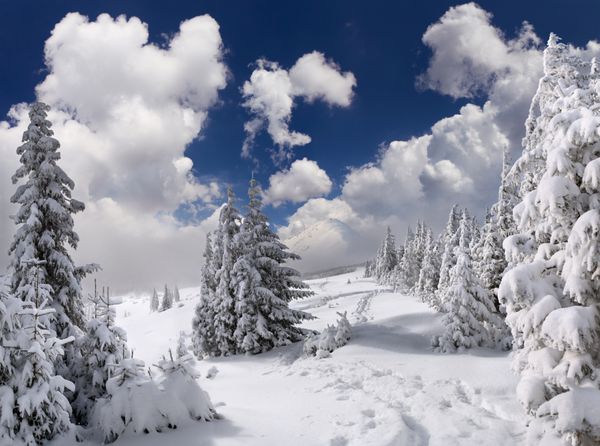 منظره زمستانی زیبا در کوهستان
