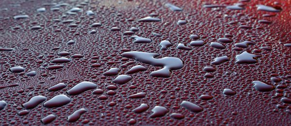 قطرات آب پس از باران شدید در طلوع آفتاب صبح در رنگ ماشین متالیک