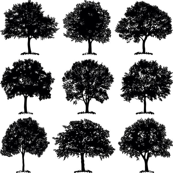 مجموعه درخت - تصویر شبح وکتور