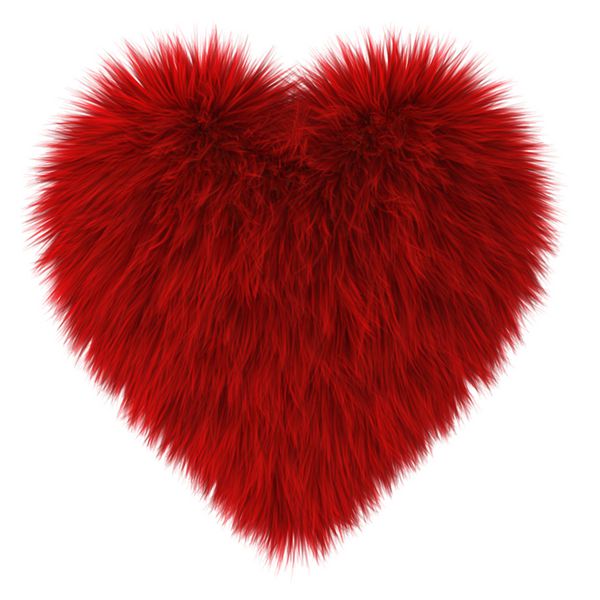 قلب خز قرمز تصویر سه بعدی در پس زمینه سفید